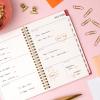 Blue Sky 2026-2027 Weekly and Monthly Academic Year Planner Calendar, July 2026 – June 2027, 5″ x 8″, Clear Pocket Cover, Wirebound, Laminated Tabs, Cali Pink(Cali Pink- 2026/2027)