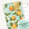 Blue Sky Day Designer 2026-2028 Monthly Academic Year 24 Month Planner Calendar, July 2026 – June 2028, 5″ x 8″, Flexible Cover, Stapled Binding, Orange Blossom Mint(Orange Blossom Mint- 2025/2026)