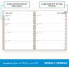 Blue Sky 2026-2027 Large Print Weekly and Monthly Academic Year Planner Calendar, July 2026 – June 2027, 8.5″ x 11″, Flexible Cover, Wirebound, Storage Pocket, Laminated Tabs, Sand(Sand- 2026/2027)