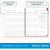Blue Sky 2026-2027 Weekly and Monthly Academic Year Student Planner Calendar, July 2026 – June 2027, 8.5″ x 11″, Flexible Cover, Wirebound, Laminated Tabs, Storage Pocket, Star Confetti Bright(Star Confetti Bright- 2026/2027)