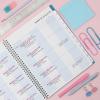Blue Sky 2026-2027 Weekly and Monthly Academic Year Teacher Lesson Planner Calendar, July 2026 – June 2027, 8.5″ x 11″, Clear Pocket Cover, Wirebound, Laminated Tabs, Storage Pocket, Ditsy Dapple Light(Ditsy Dapple Light- 2026/2027)
