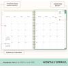 Blue Sky Day Designer 2026-2027 Weekly and Monthly Academic Year Planner Calendar, July 2026 – June 2027, 8.5″ x 11″, Flexible Cover, Laminated Tabs, Storage Pocket, Includes Stickers, Palms(Palms- 2025/2026)