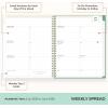 Blue Sky Day Designer 2026-2027 Weekly and Monthly Academic Year Planner Calendar, July 2026 – June 2027, 8.5″ x 11″, Flexible Cover, Laminated Tabs, Storage Pocket, Includes Stickers, Palms(Palms- 2025/2026)