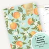 Blue Sky 2027 24-Month Monthly Planner, 8.5″x11″, Orange Blossom Mint(Orange Blossom Mint- 2026)