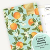 Blue Sky 2027 24-Month Monthly Planner, 8.5″x11″, Orange Blossom Mint(Orange Blossom Mint- 2027)