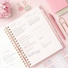 Blue Sky Rachel Parcell 2027 Daily & Monthly Planner Calendar, 7″x9″, Peony(Peony- 2027)