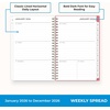 Blue Sky 2027 Weekly & Monthly Planner Calendar, 5″x8″, Fly By(Fly By- 2026)