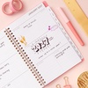Blue Sky 2027 Weekly & Monthly Planner Calendar, 5″x8″, Fly By(Fly By- 2027)