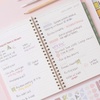 Blue Sky 2027 Weekly and Monthly Planner Calendar, 5″x8″, Solid Sorbet