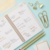 Blue Sky Day Designer 2027 Weekly & Monthly Planner 5″x8″, Coming Up Roses(Coming Up Roses- 2027)