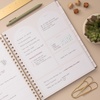 Blue Sky Life Note It 2027 Weekly & Monthly Planner, 8.5″x11″, Solid Latte(Solid Latte- 2027)