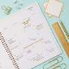Blue Sky Day Designer 2027 Monthly Planner 8″x10″, Climbing Floral Mint(Climbing Floral Mint- 2027)