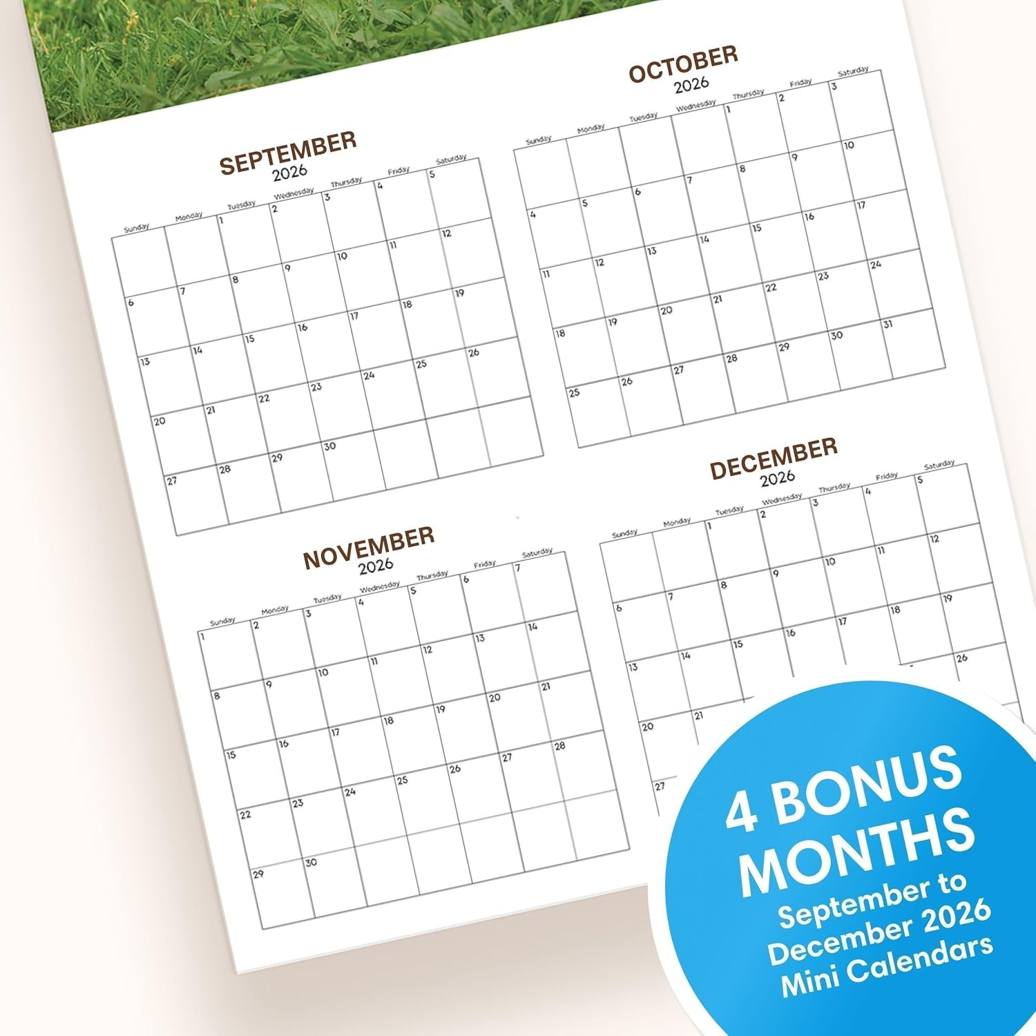 image:imageBlue Sky 2027 Monthly Wall Calendar 12x12 PuppiesPuppies 2027
