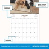 Blue Sky 2027 Monthly Wall Calendar, 12″x12″, Baby Animals