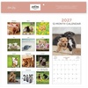Blue Sky 2027 Monthly Wall Calendar, 12″x12″, Baby Animals