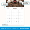 Blue Sky 2027 Monthly Wall Calendar, 12″x12″, Puppies(Puppies- 2027)