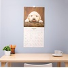 Blue Sky 2027 Monthly Wall Calendar, 12″x12″, Puppies(Puppies- 2027)