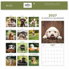 Blue Sky 2027 Monthly Wall Calendar, 12″x12″, Puppies(Puppies- 2027)
