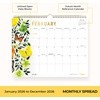 Blue Sky 2027 Monthly Wall Calendar, 15″x12″, Butterflies(Butterflies- 2026)