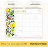 Blue Sky 2027 Monthly Wall Calendar, 15″x12″, Butterflies(Butterflies- 2027)