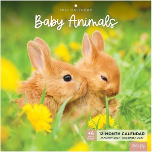 Blue Sky 2027 Monthly Wall Calendar, 12″x12″, Baby Animals